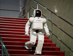 Asimo rezil oldu