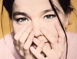 Björk fotoğrafçıya saldırdı